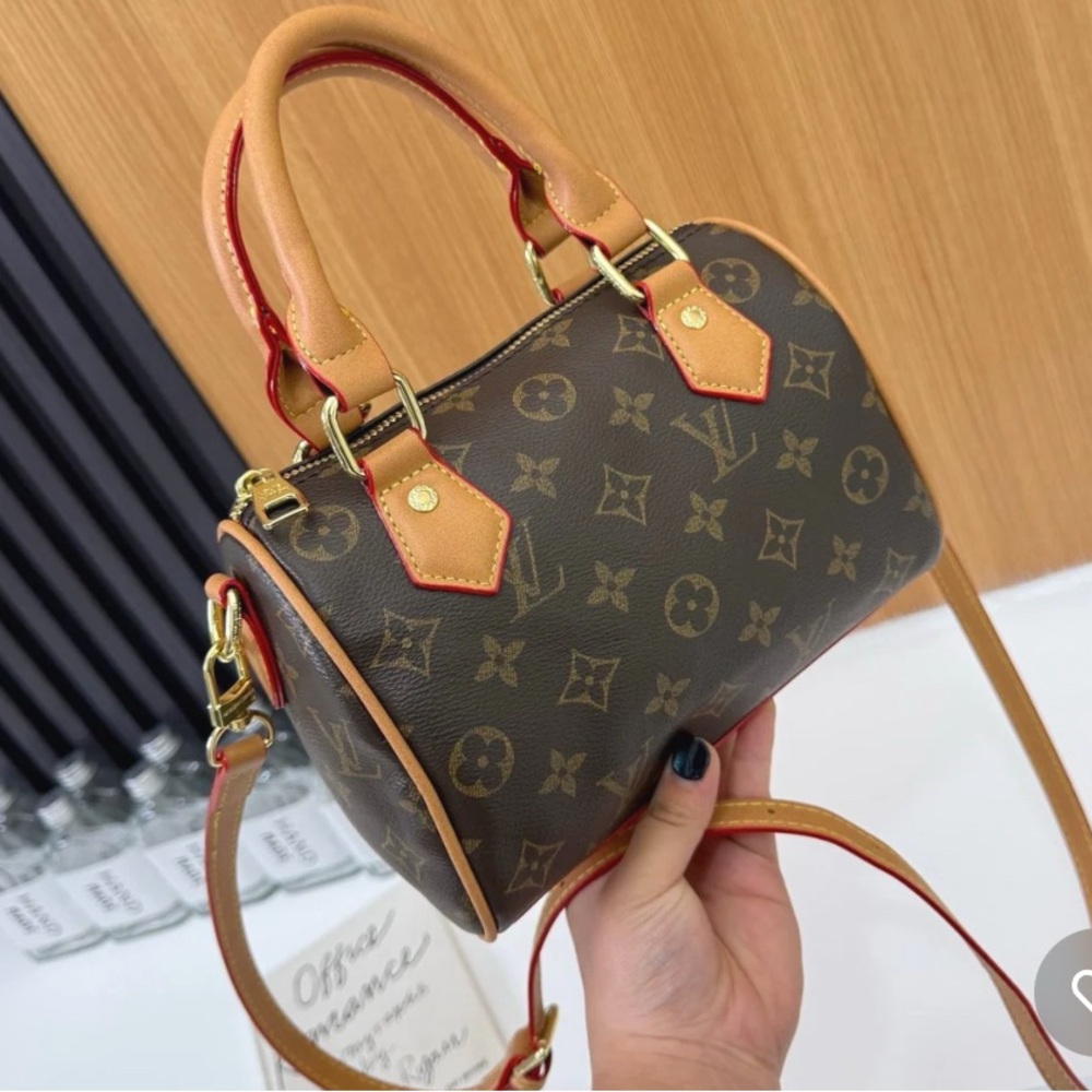 Louis Vuitton Mini Monogram Bag
